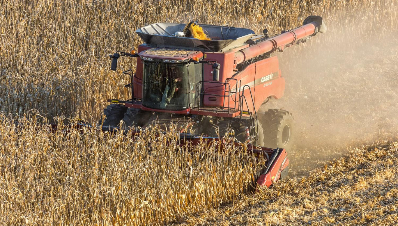 Fansler Farms field view