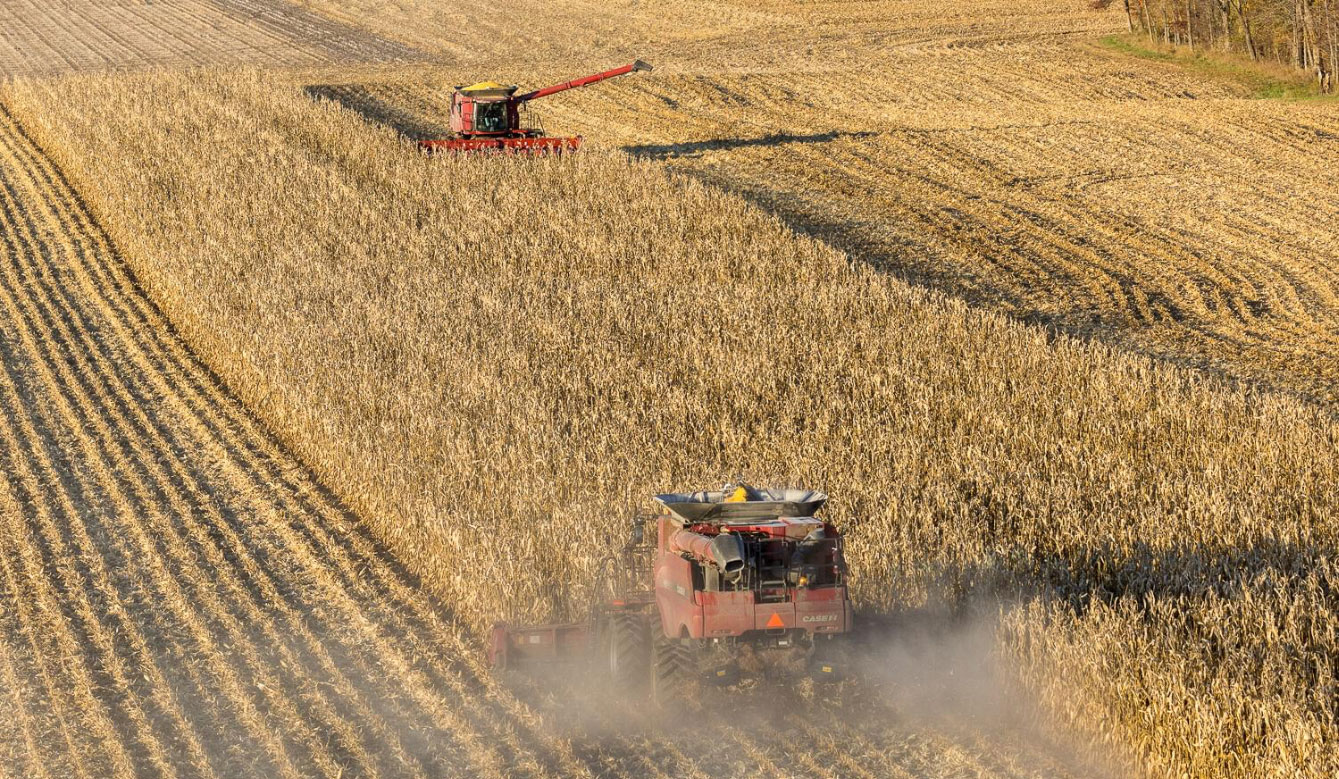 Fansler Farms field view