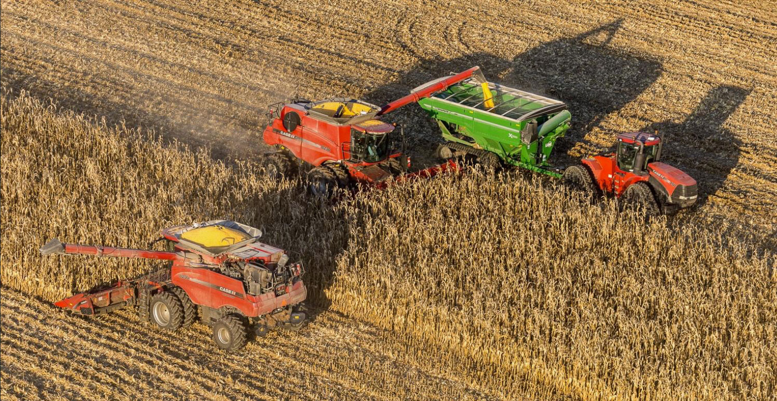 Fansler Farms field view